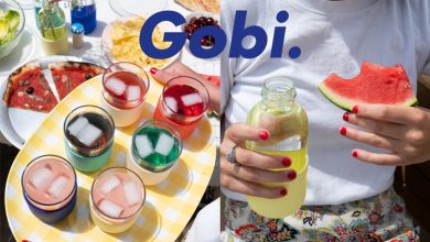 Pique-niques Gobi.