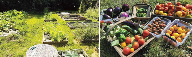 Un potager (super) productif