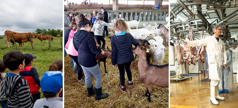 Rencontres MADE in VIANDE