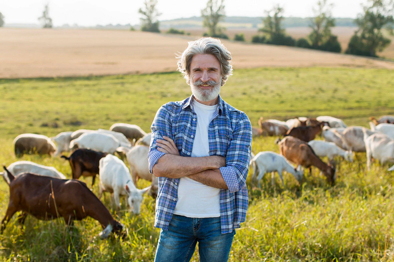 Producteurs et épicerie fine en ligne
