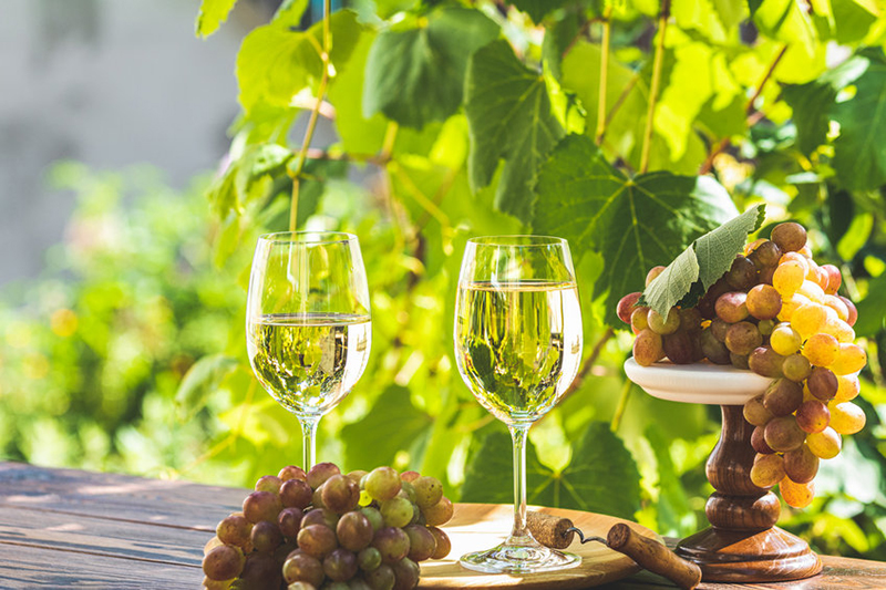 Top 4 meilleurs vins du monde entier