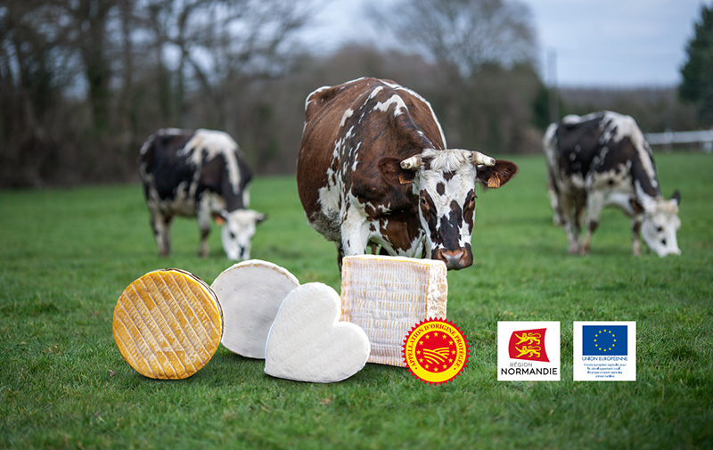 Route des Fromages AOP de Normandie