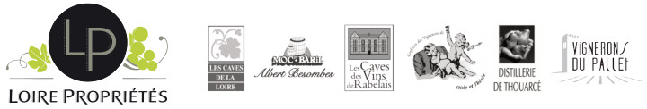 Loire Propriétés