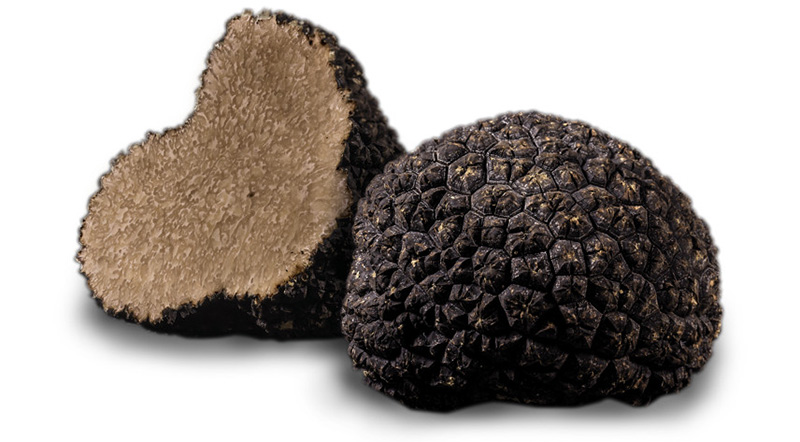Truffe d’Été