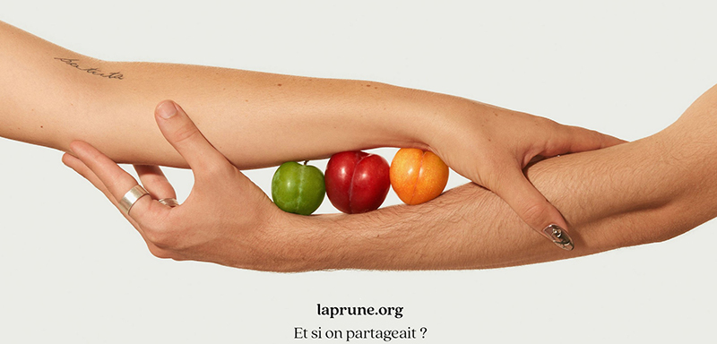 la prune.org - Et si on partageait ?