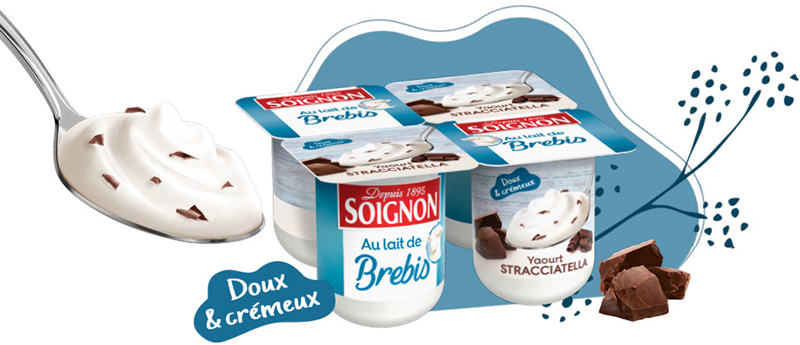 Yaourt Stracciatella au lait de Brebis