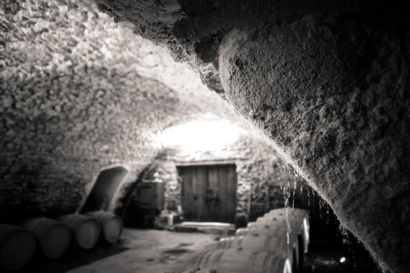 Domaine Roc de l’Abbaye