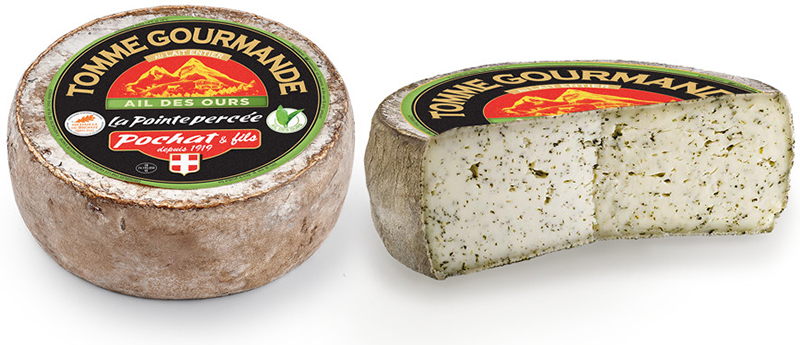 Tomme ail des ours