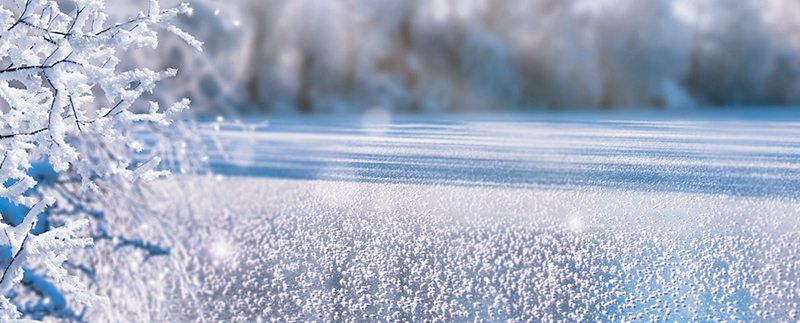 Grain de Glace