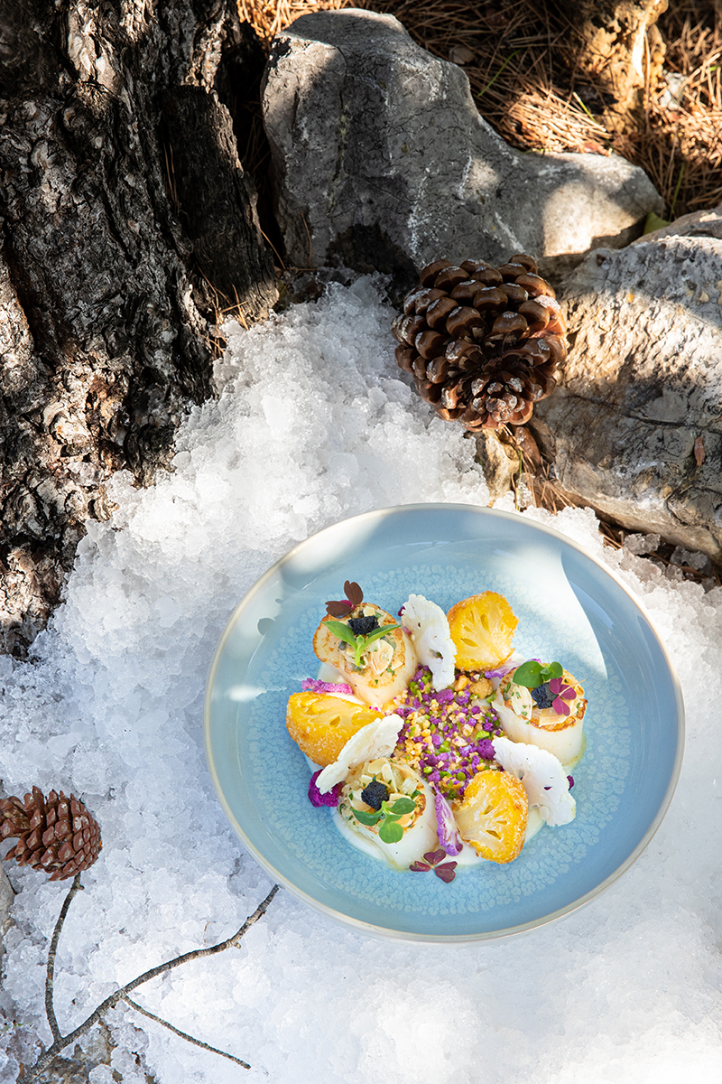 Noix de Saint Jacques, choux-fleurs en textures sauce grenobloise