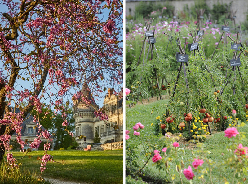 Chasse aux œufs château de la Bourdaisière