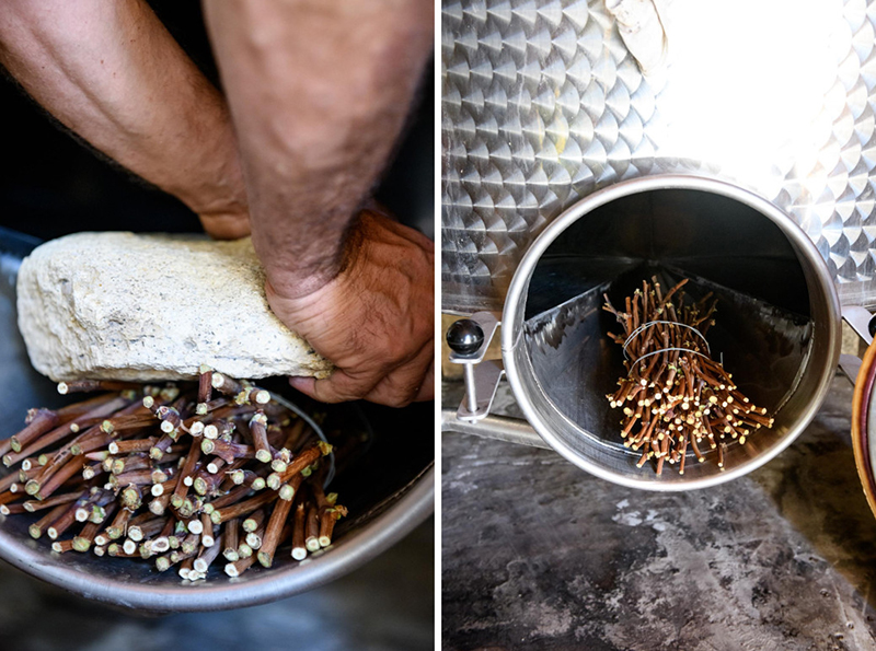 Domaine Les Cardelines