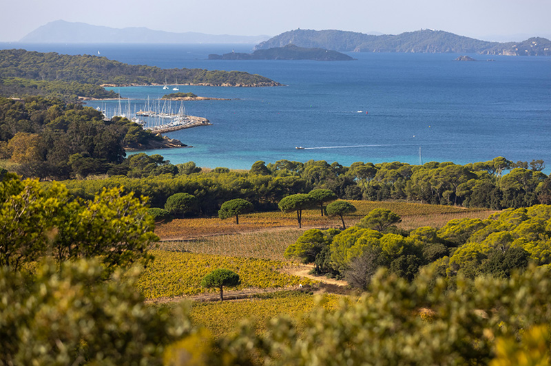 La Courtade - Porquerolles