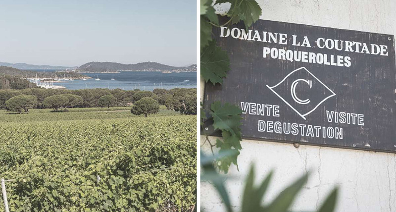 Domaine La Courtade