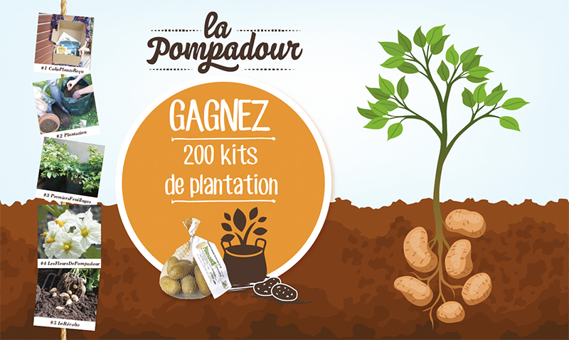 Gagnez La Pompadour