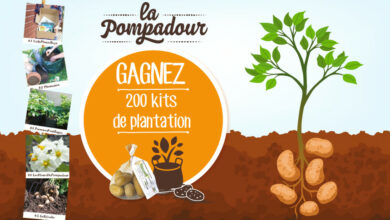 Gagnez La Pompadour