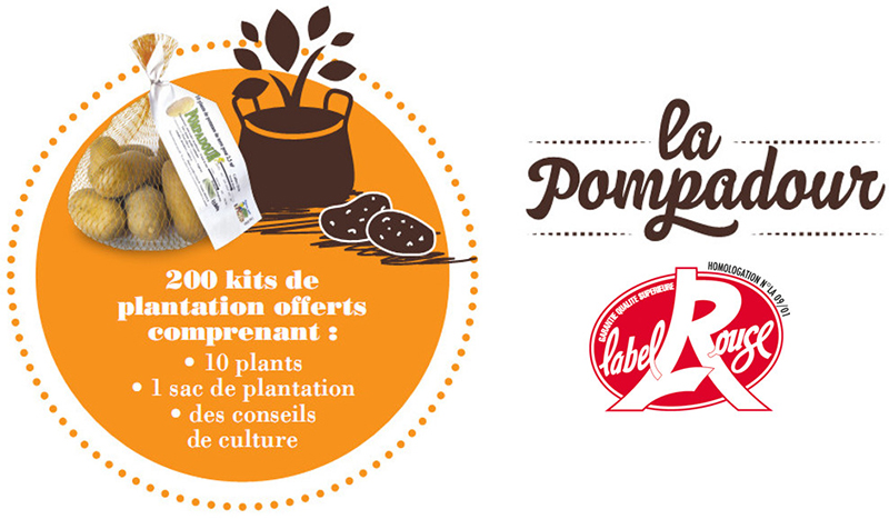 Plantation Pompadour