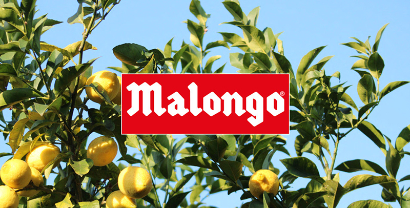 Malongo