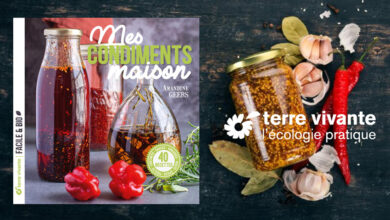 Mes condiments maison