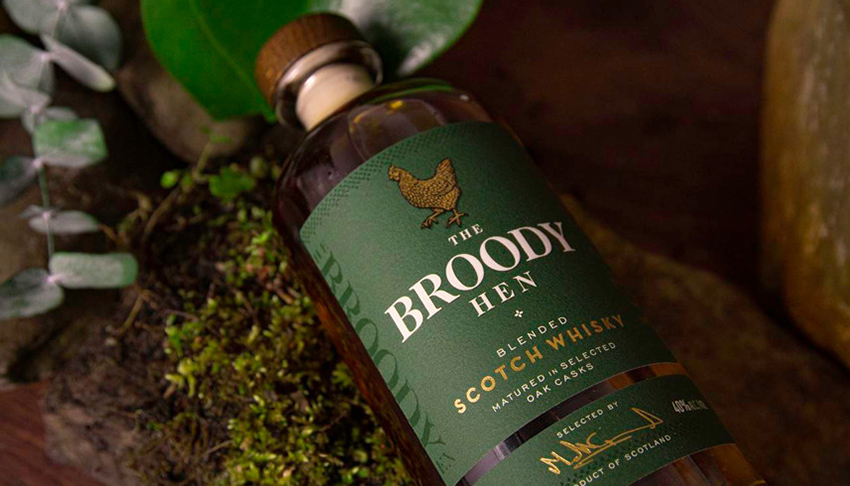 THE BROODY HEN