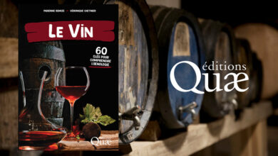 Le vin