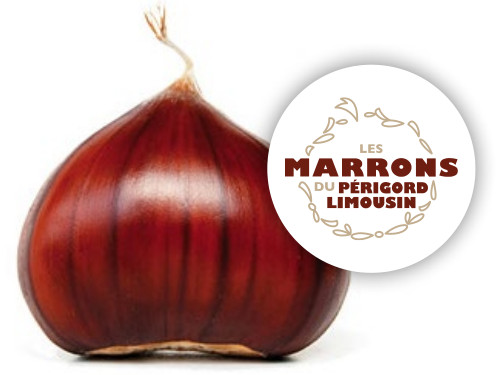Marrons du Périgord-Limousin