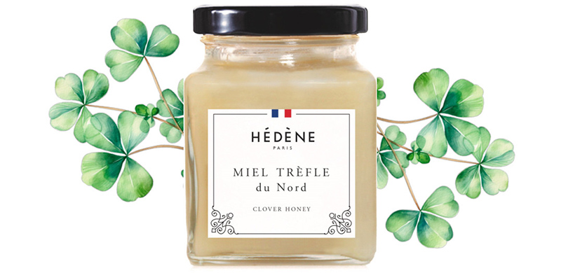 Miel trèfle du Nord