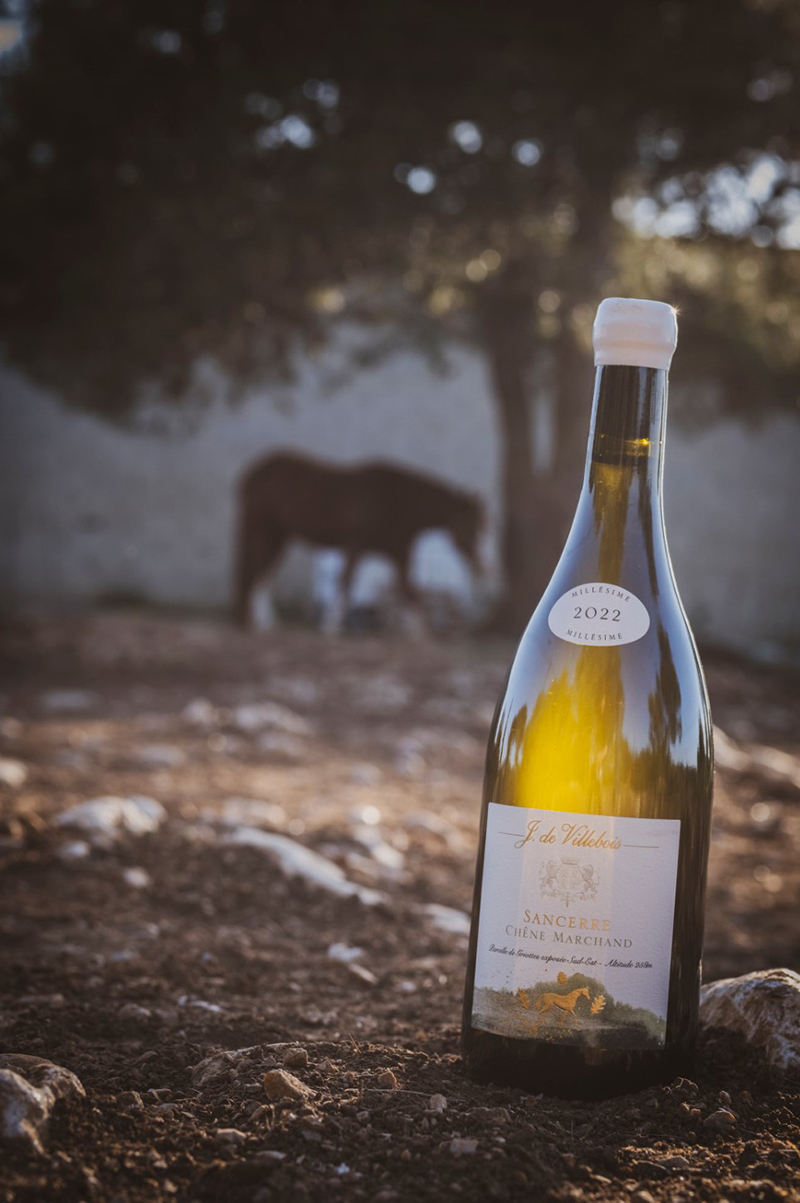 Sancerre Chêne Marchand