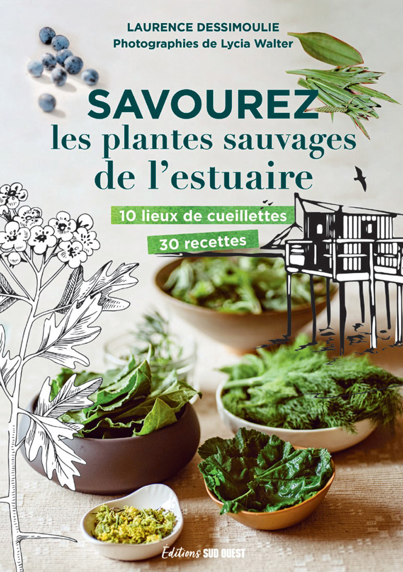 Savourez les plantes sauvages de l’estuaire