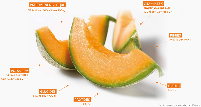 Melon régions
