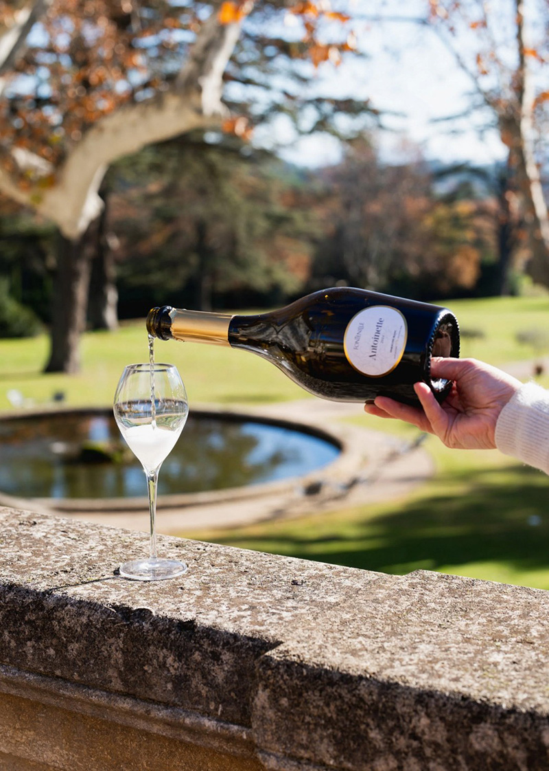 Antoinette Sparkling Blanc