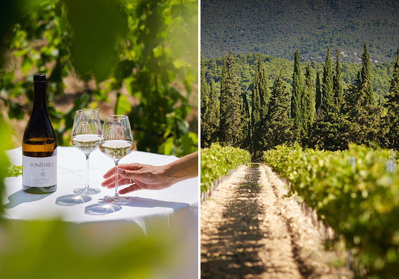 DOMAINE DE FONTENILLE