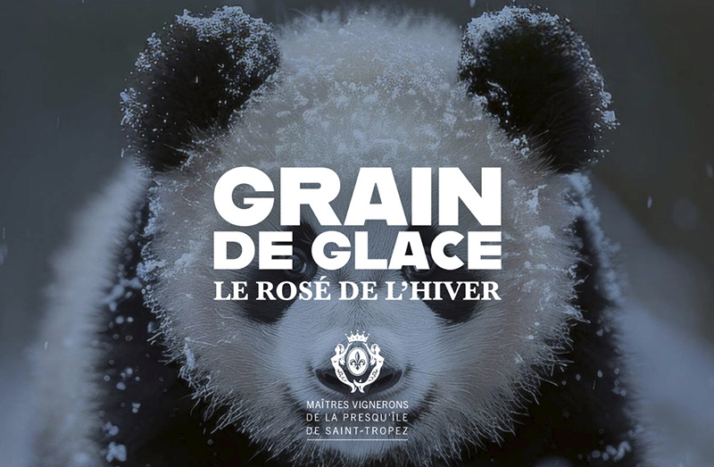 Grain de Glace
