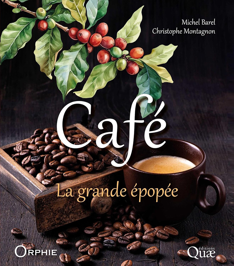 Café, la grande épopée