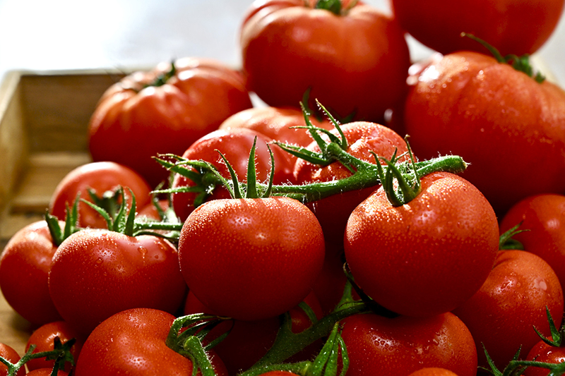 Tomates Label Rouge