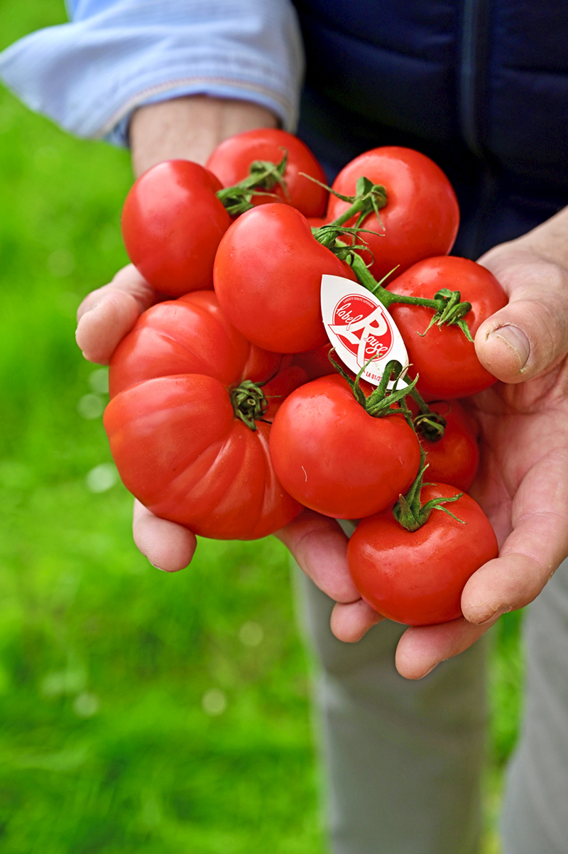 Tomates Label Rouge