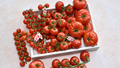Tomates Label Rouge