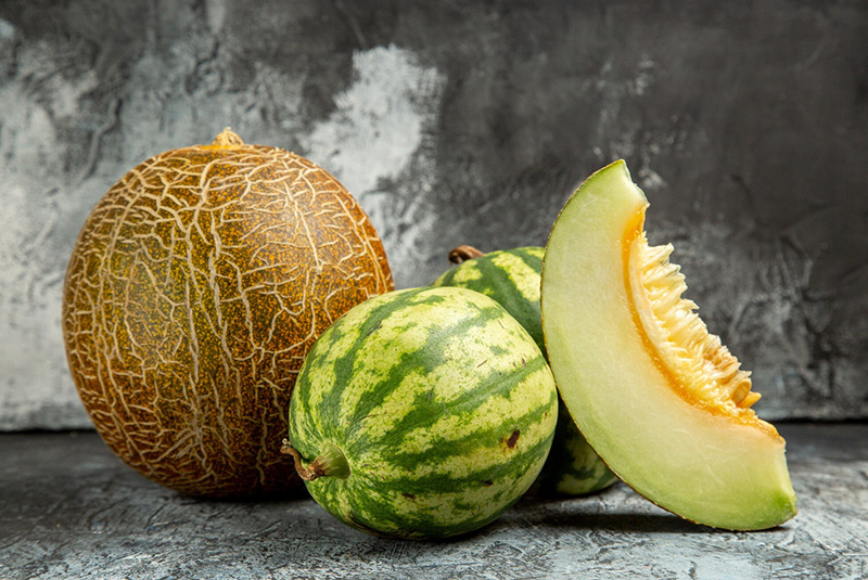Différents types de melon