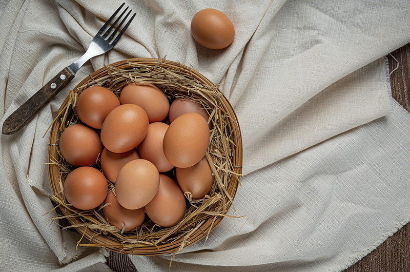 Les œufs, de la poule à l’assiette