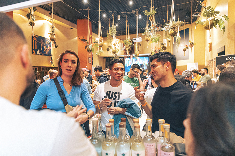 Festival Viva Agave