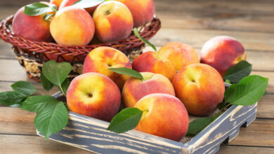 Pêches et nectarines