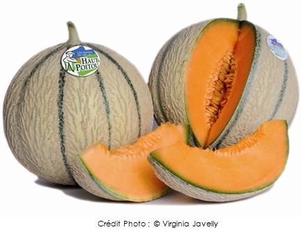https://dev.avosassiettes.fr/img/Visuel-Melons-du-Haut-Poitou-photo-Virginia-Javelly.jpg