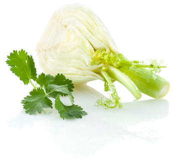 https://dev.avosassiettes.fr/img/fenouil_coriandre.jpg