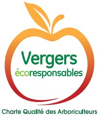 https://dev.avosassiettes.fr/img/vergers_ecoresponsables_peches_de_nos_regions.jpg
